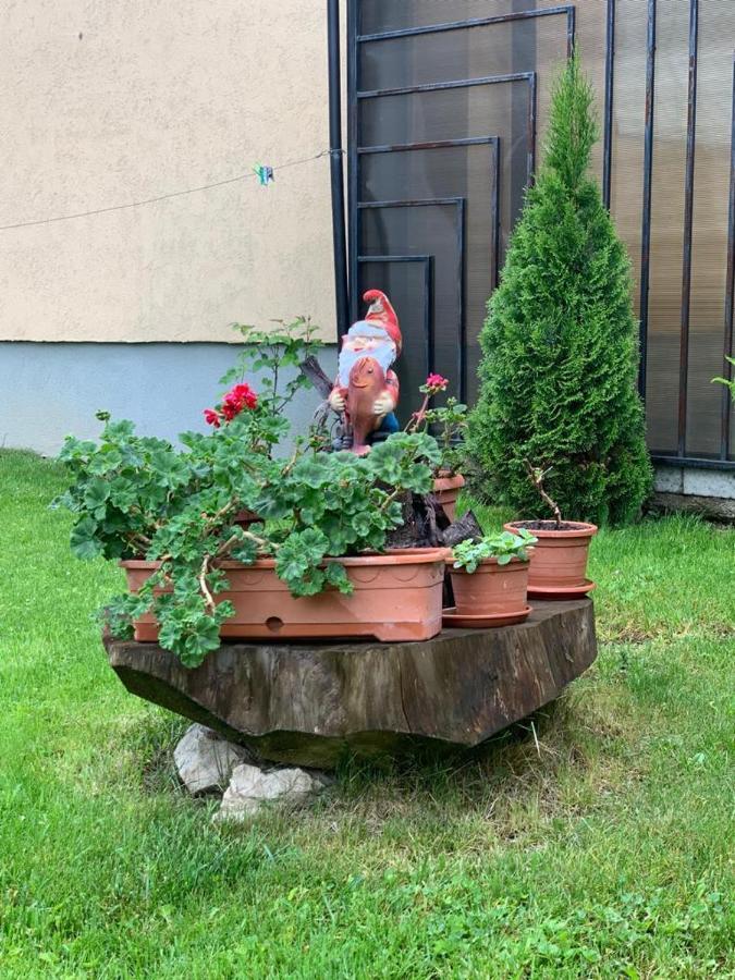 Like Home Râșnov Zewnętrze zdjęcie